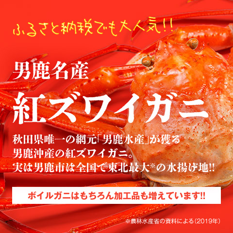 秋田県唯一の網元!東北最大の水揚げ!!男鹿名産「紅ずわいがに」