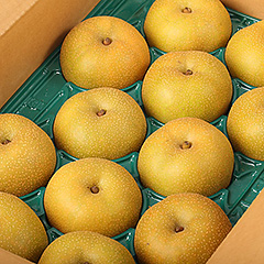 【数量限定】男鹿梨 幸水 5kg(10~14玉) ※期間限定/9月上旬頃の出荷予定